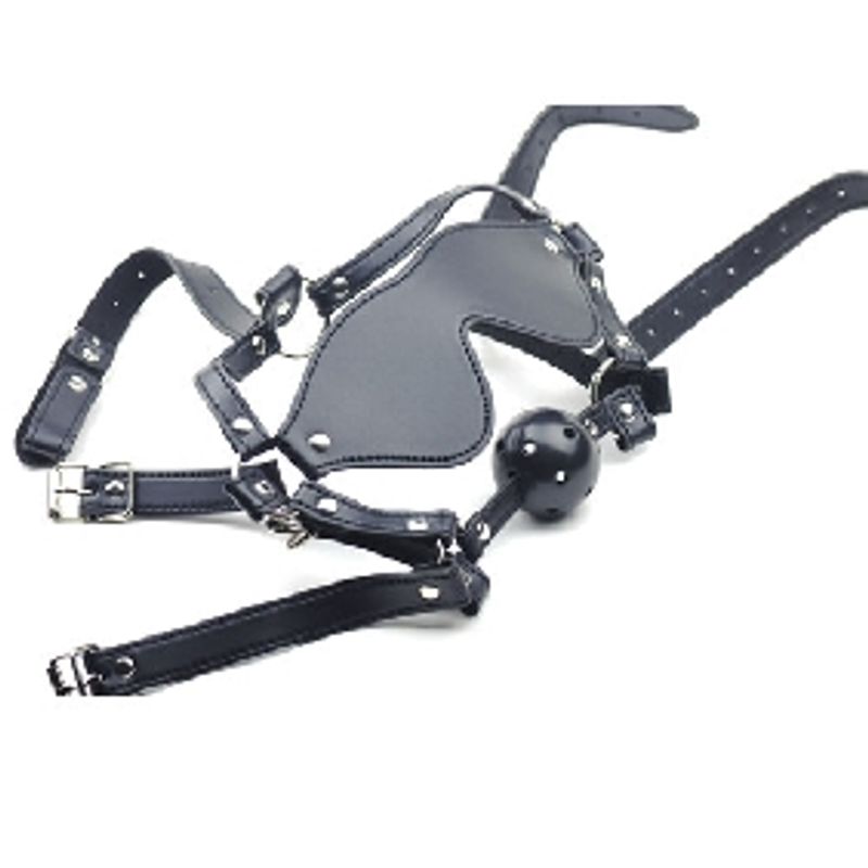 HODEHARNESS MED BALL GAG