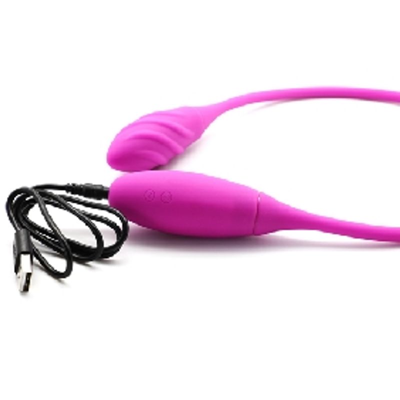 Dobbel Vibrator