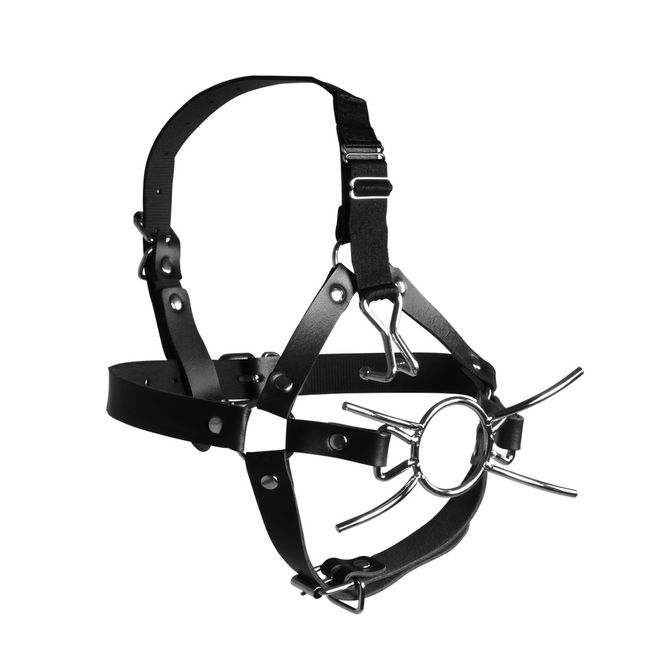 Hovedbilde OUCH!  Xtreme  Hodeharness Med Spidergag Og ...