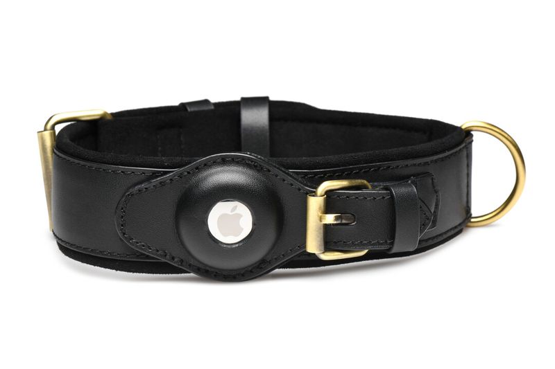Tracer - Sporingshalsbånd - Tracking Collar